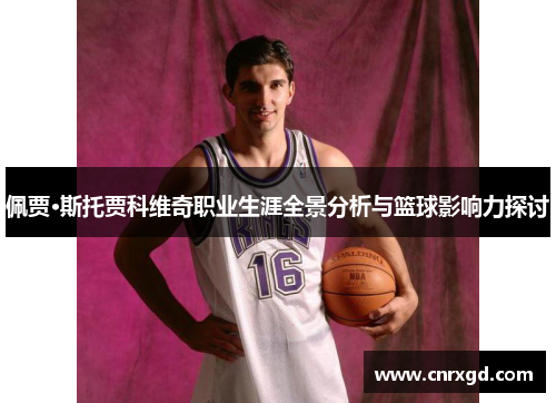 佩贾·斯托贾科维奇职业生涯全景分析与篮球影响力探讨 佩贾·斯托贾科维奇职业生涯全景分析与篮球影响力探讨