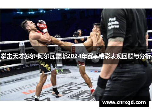 拳击天才苏尔·阿尔瓦雷斯2024年赛季精彩表现回顾与分析 拳击天才苏尔·阿尔瓦雷斯2024年赛季精彩表现回顾与分析