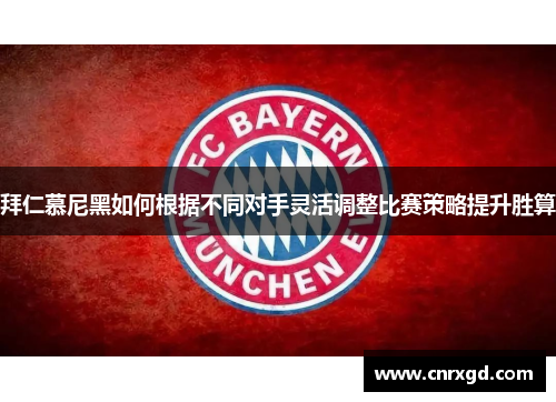 拜仁慕尼黑如何根据不同对手灵活调整比赛策略提升胜算