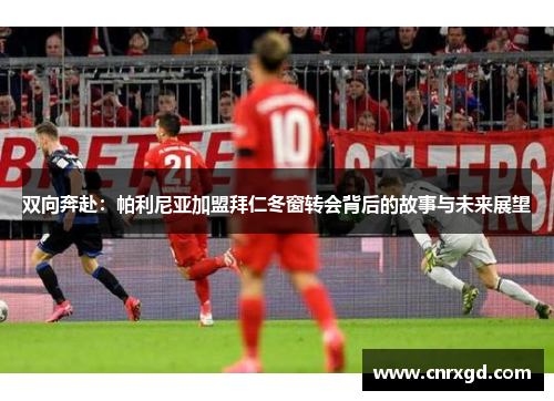 双向奔赴：帕利尼亚加盟拜仁冬窗转会背后的故事与未来展望