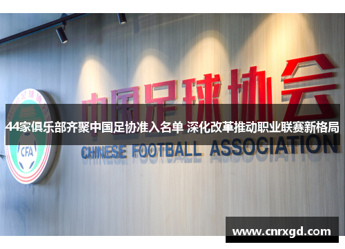 44家俱乐部齐聚中国足协准入名单 深化改革推动职业联赛新格局