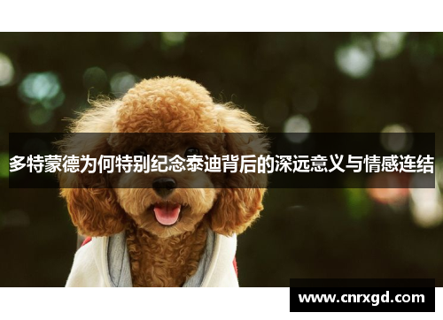 多特蒙德为何特别纪念泰迪背后的深远意义与情感连结 多特蒙德为何特别纪念泰迪背后的深远意义与情感连结