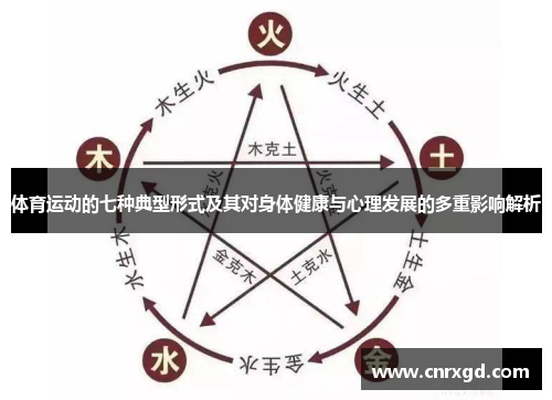 体育运动的七种典型形式及其对身体健康与心理发展的多重影响解析