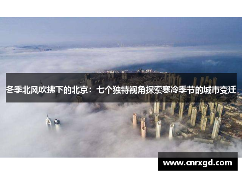 冬季北风吹拂下的北京:七个独特视角探索寒冷季节的城市变迁 冬季北风吹拂下的北京:七个独特视角探索寒冷季节的城市变迁