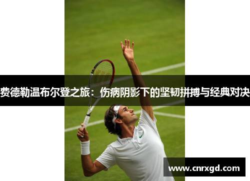 费德勒温布尔登之旅：伤病阴影下的坚韧拼搏与经典对决