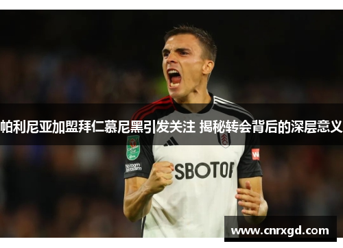 帕利尼亚加盟拜仁慕尼黑引发关注 揭秘转会背后的深层意义