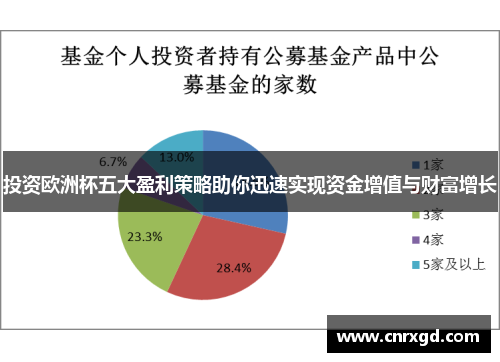 投资欧洲杯五大盈利策略助你迅速实现资金增值与财富增长