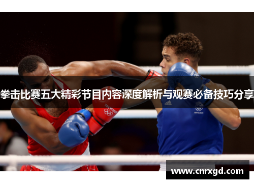 拳击比赛五大精彩节目内容深度解析与观赛必备技巧分享